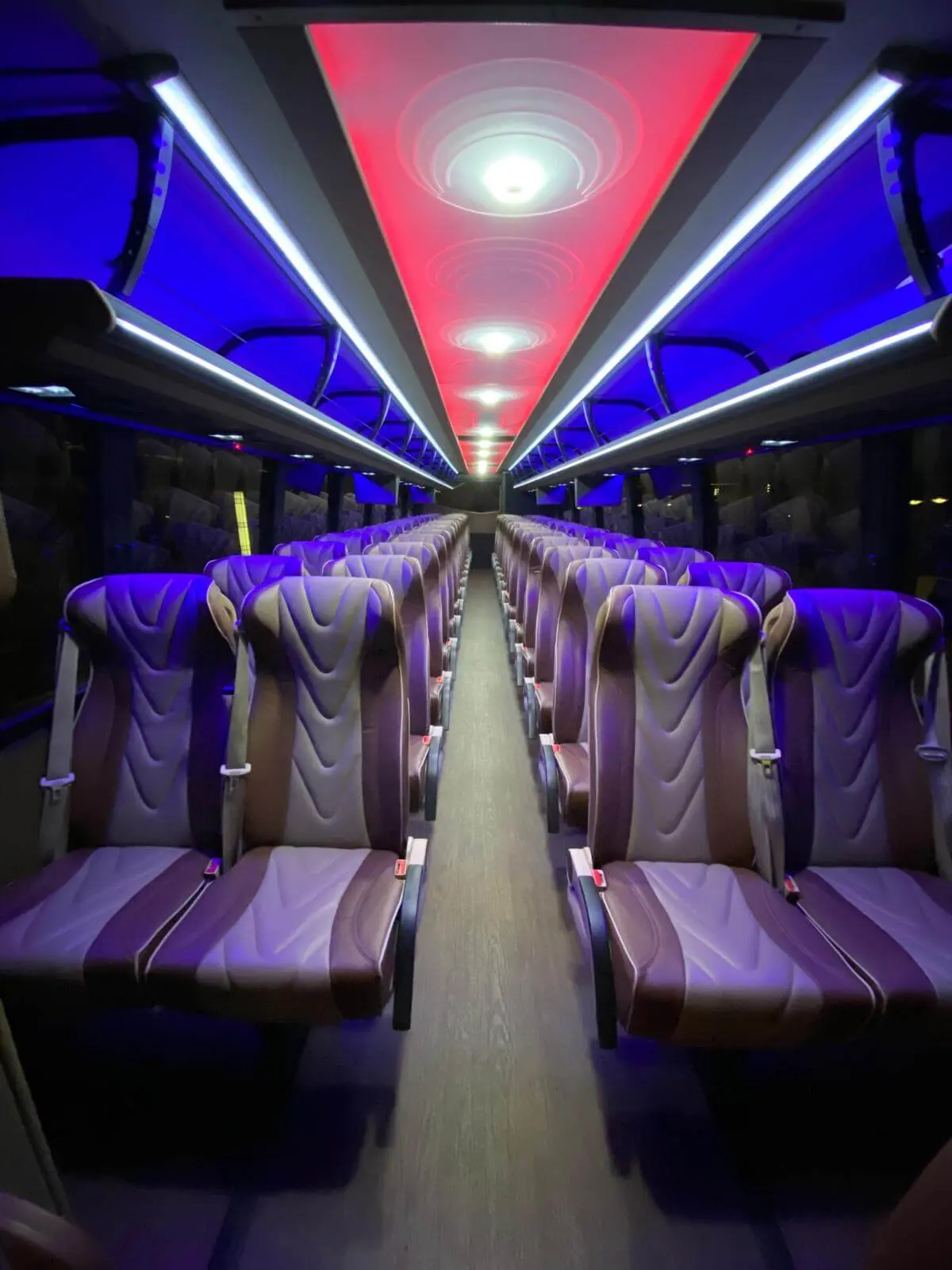 Super Coach Bus — photo 5