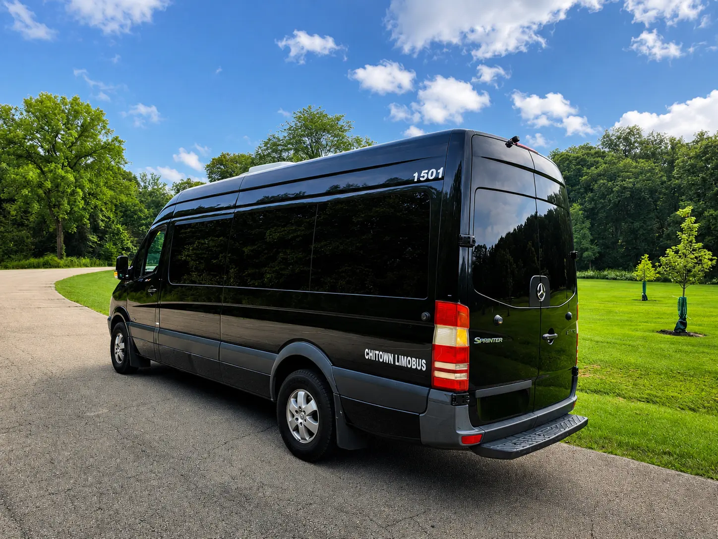 Limo Van — photo 2